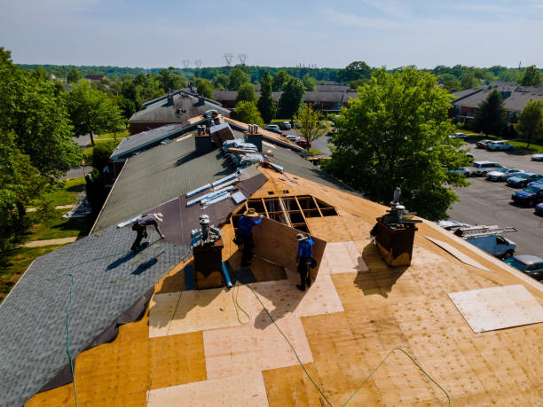 Best Roof Gutter Cleaning  in Hartington, NE