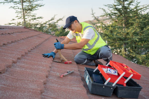 Best Flat Roof Repair Services  in Hartington, NE