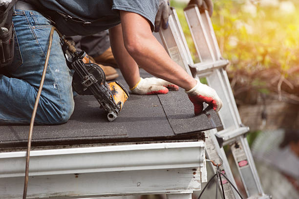 Best Metal Roofing Contractor  in Hartington, NE