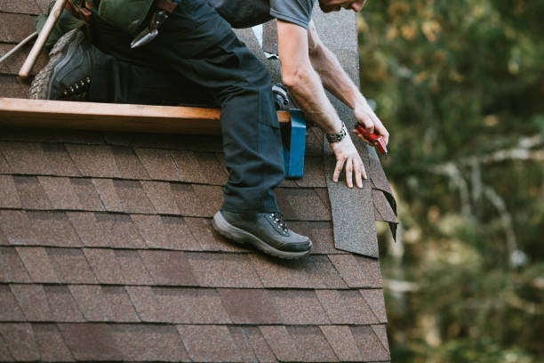Best Shingle Roofing Installation  in Hartington, NE